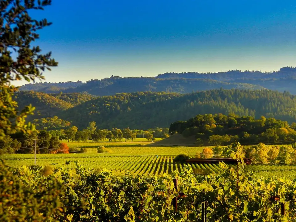 Calistoga