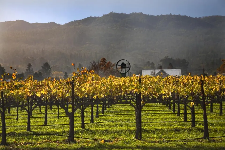 Napa