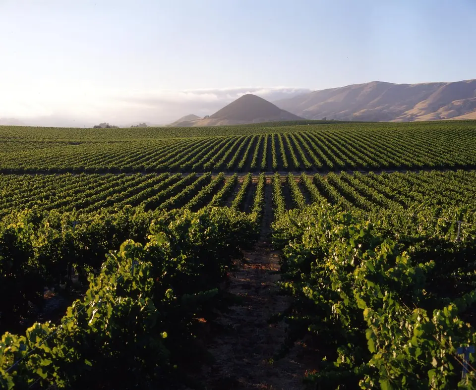 Yountville